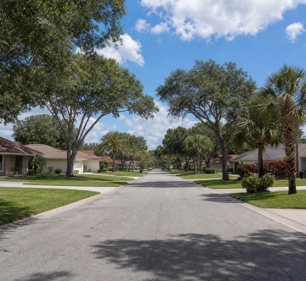 A quiet residential street with well kept lawns in North Pinellas County, Florida.